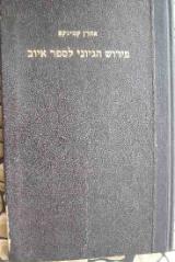 פירוש הגיוני לספר איוב - אהרן קמינקא