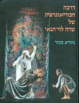 דרכה הכוריאוגרפית של שרה לוי תנאי - גיורא מנור