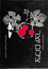 צילום יוצר : תהליכי מעבדה גרפיים: טכניקות בסיסיות - יעקב בורנשטין