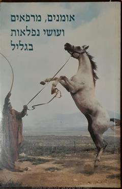 אומנים, מרפאים ועושי נפלאות בגליל